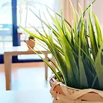 Appartement Sueno De By Costa